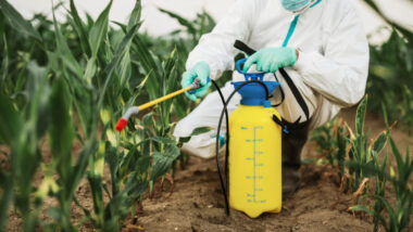 La Commission Européenne Prévoit de Renouveler l'Autorisation du Glyphosate pour une Décennie : Impact sur les Pesticides