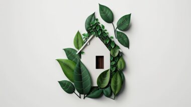 Construire une maison écologique incroyable : guide étape par étape